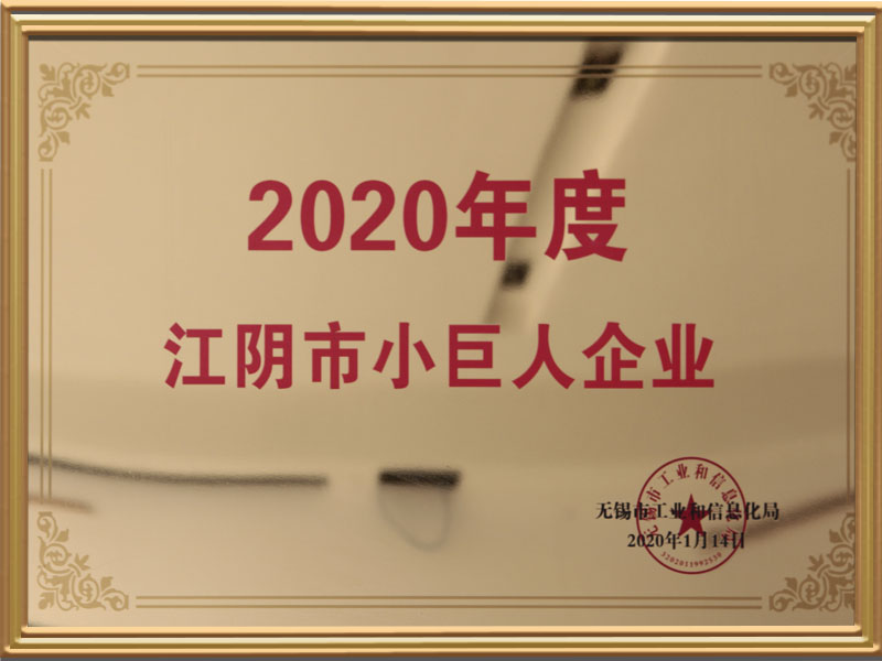 2020年度江阴市小巨人企业